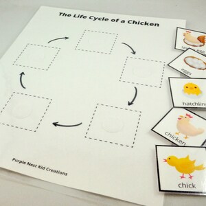 On the Farm Busy Book Bundle, Farm Busy Book Printable, Puzzles ...
