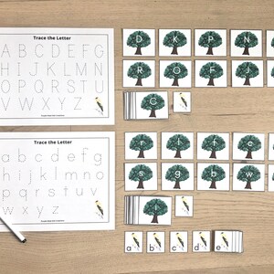 Actividades de reconocimiento de letras de primavera, juego de correspondencias, alfabeto, pájaros, árboles, primavera, letras, actividad educativa imprimible para preescolar