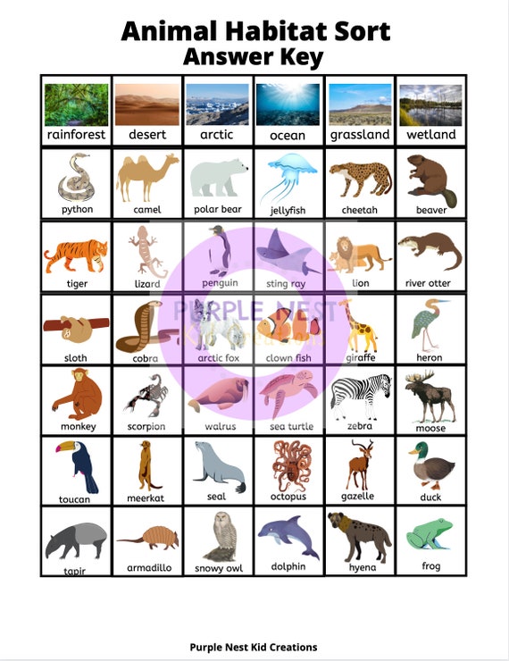 Animals Habitat Sorting Worksheets Habitat Sorting Mats - Etsy Australia Animals Habitat Sorting Worksheets Habitat Sorting Mats - Etsy Australia