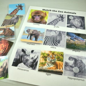 Match the Zoo Animals Activity, Animal Matching Game, Educational Preschool Printable Activity, Homeschool Game, Tot School, Busy Binder