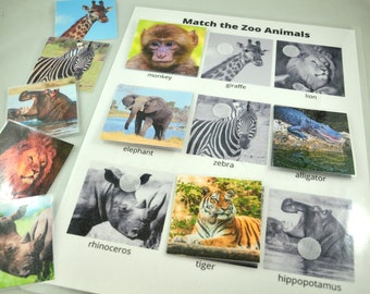 Matchingspel dierentuindieren: afdrukbare activiteit voorschoolse (pdf)
