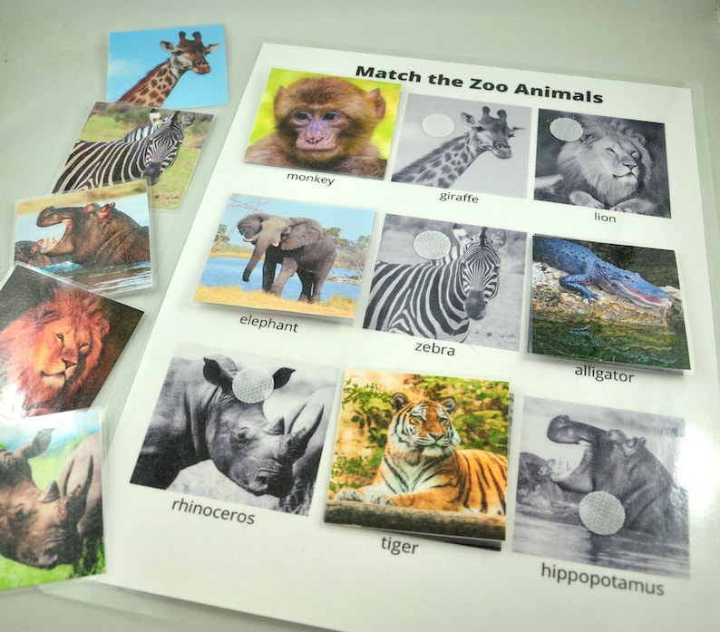 match the zoo animals worksheet animal matching game etsy