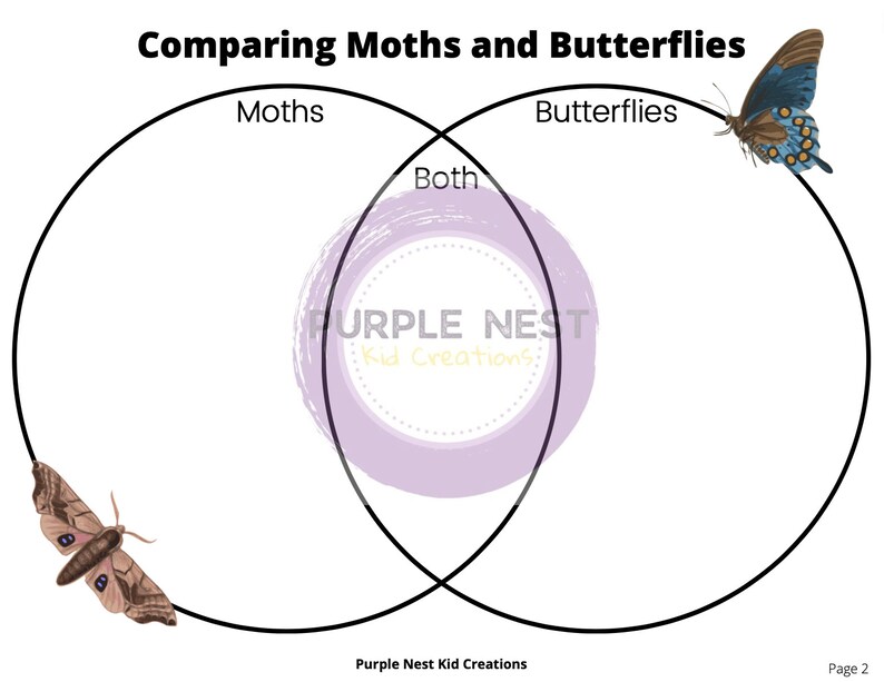 Butterflies and Moths Sorting Worksheet Sorting Game Venn Etsy