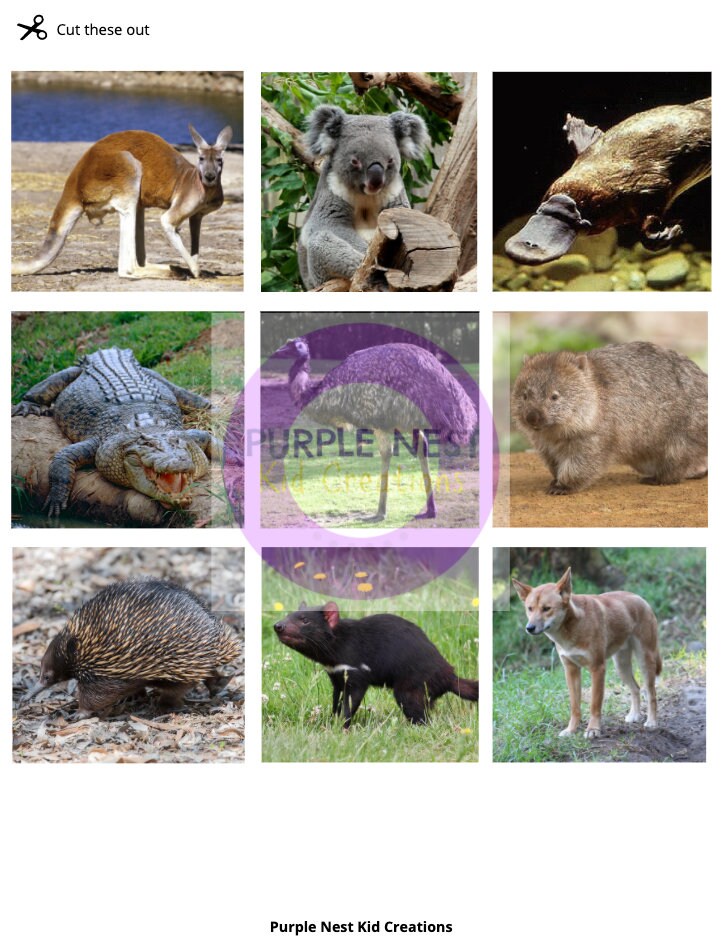 Australian Animals Matching Worksheet: Educational Activity (PDF) - Etsy