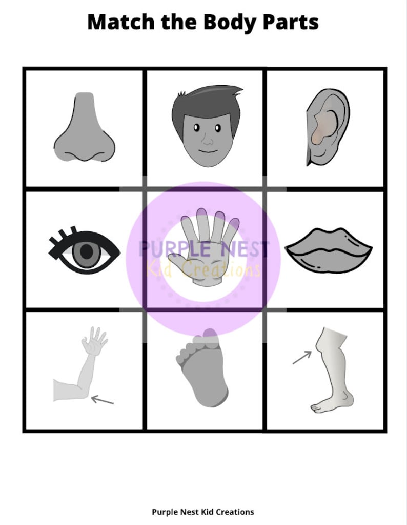 match the body parts worksheet matching game educational