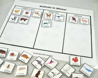 Animals in Winter Sorting Worksheet, Hibernate, Migrate, Adapt Animal Sorting, Educational Printable Activity, Homeschool, Kindergarten