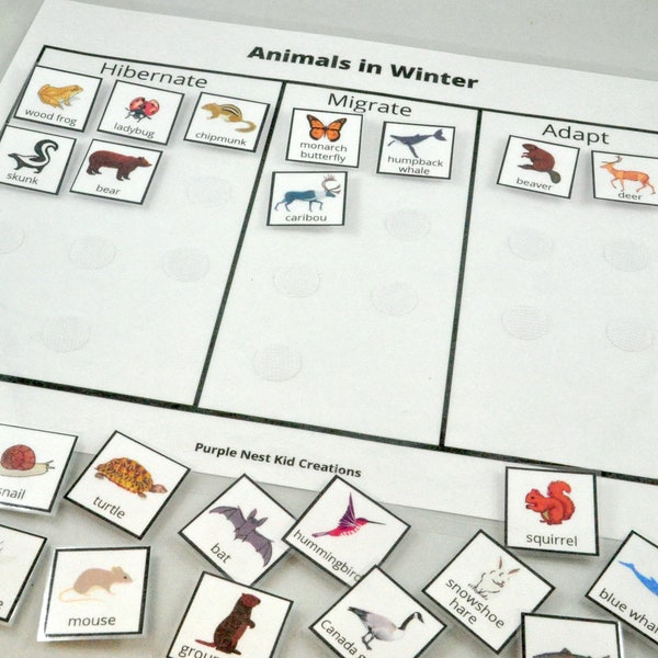 Animals in Winter Sorting Worksheet, Hibernate, Migrate, Adapt Animal Sorting, Educational Printable Activity, Homeschool, Kindergarten