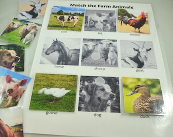May include: A children's educational game titled "Match the Farm Animals." The game features a white background with colorful images of farm animals, including a cow, pig, rooster, horse, sheep, goat, goose, dog, and duck. The game includes matching picture cards.