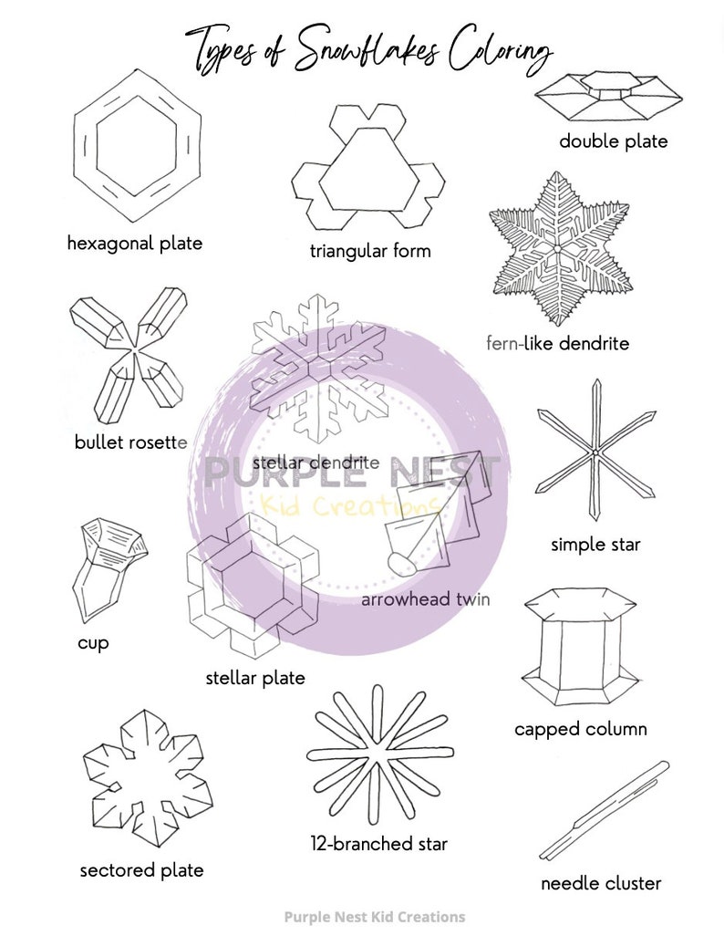 Labeled Snowflake Snowflake Tracing and Coloring Sheets: Winter Activity (digital ...