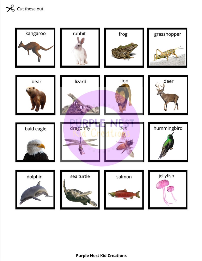 Sort Animals by How They Move Worksheet Animals Animal - Etsy