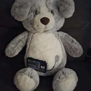 May include: A plush teddy bear with grey and white fur, featuring a dark brown nose and a small black insulin pump device attached to its midsection. The bear has a soft, textured appearance with a light-coloured belly and matching paw pads.