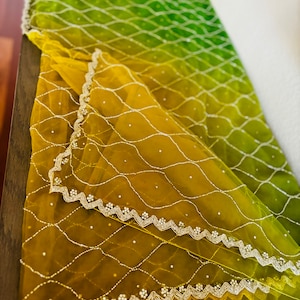 All Embroidered Net Silk Saree || Green Brown Shaded Party Wear Saree || Hand Embroidered Work Silk Saree || Saree Ships From USA ||