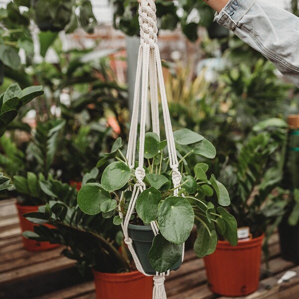 Beaded Plant Hanger Etsy