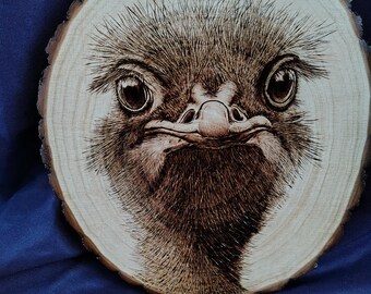 Hand Burned Ostrich Wood Art: Basswood Round Pyrography