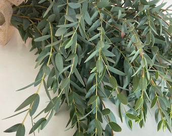 May include: A bunch of eucalyptus sprigs with long, slender, green leaves. The leaves are arranged in a cascading pattern, creating a natural and organic look.