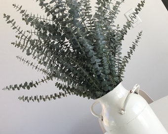 Fresh Baby Blue Eucalyptus// Eucalyptus Shower Bouquet// Shower Bouquet // Housewarming Gift// Home Decor/eco printing
