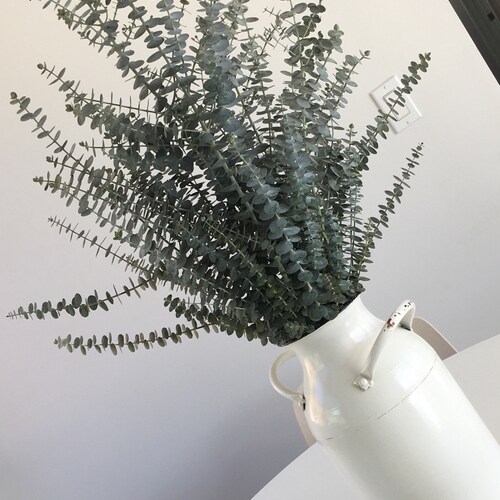 Fresh Greenery// Fresh Eucalyptus Bouquet/ Eco Printing // Etsy