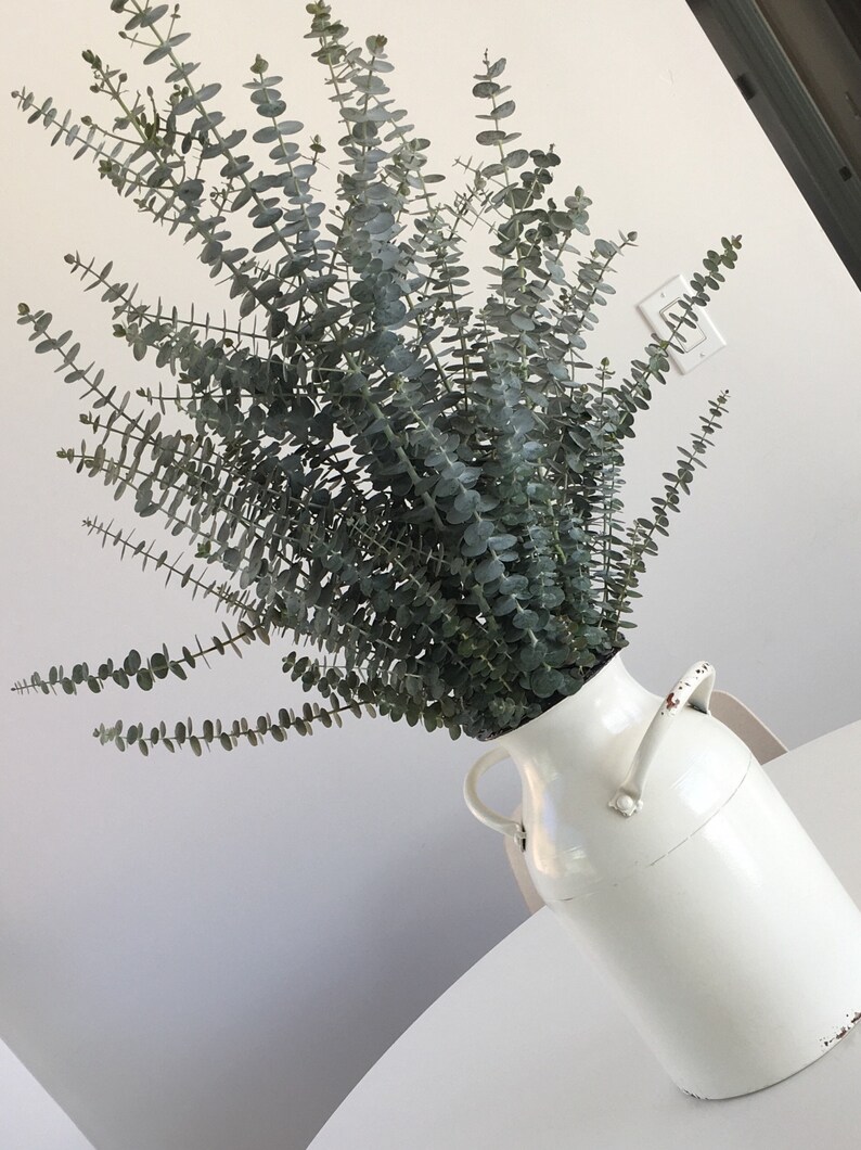 Fresh Baby Blue Eucalyptus// Eucalyptus Shower Bouquet// Etsy