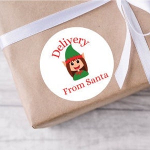May include: White round sticker with a red border. The sticker has a cartoon image of an elf with green clothing and a red hat. The text "Delivery from Santa" is written in red letters around the elf.