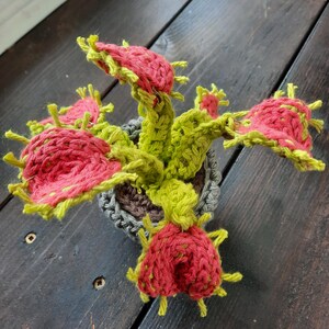 Handmade crocheted plant | Venus flytrap | gift