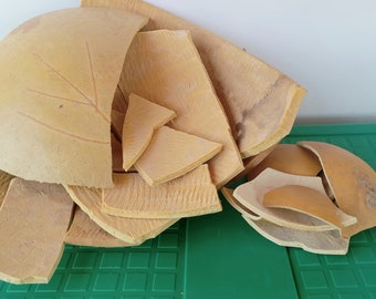 Handcrafted Broken Calabash Pieces for DIY Hard shell and lightweight shells 1 -3 lbs