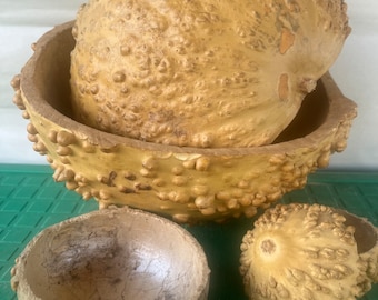 Handmade Calabash Bowl & Cover, Textured Shell Art Piece
