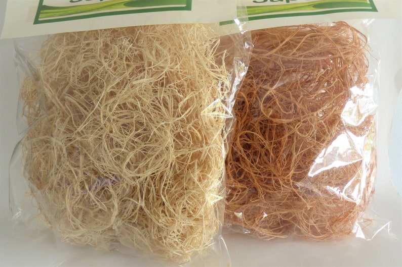 Natural African Sponge /Traditional African bath Sponge /Ghana Etsy