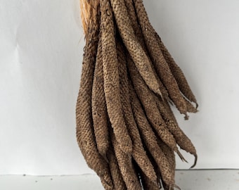 Dried Palm Flower Sticks, African Incense, Palm Rasta (20 pieces )