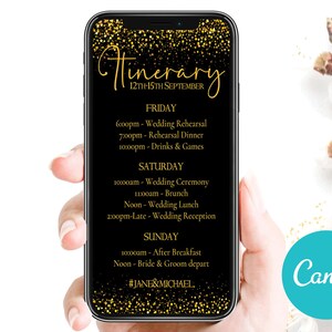 Phone Wedding Day Event Timeline DIY Itinerary Schedule Timeline Template, Electronic Wedding Timeline, Mobile iPhone Timeline