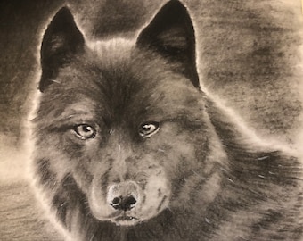 Original Black and White Wolf in Charcoal and Pencil