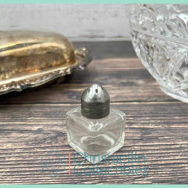 Mini Kitchen | Tiny Salt or Pepper Glass Dispenser Shakers with Silver Lid