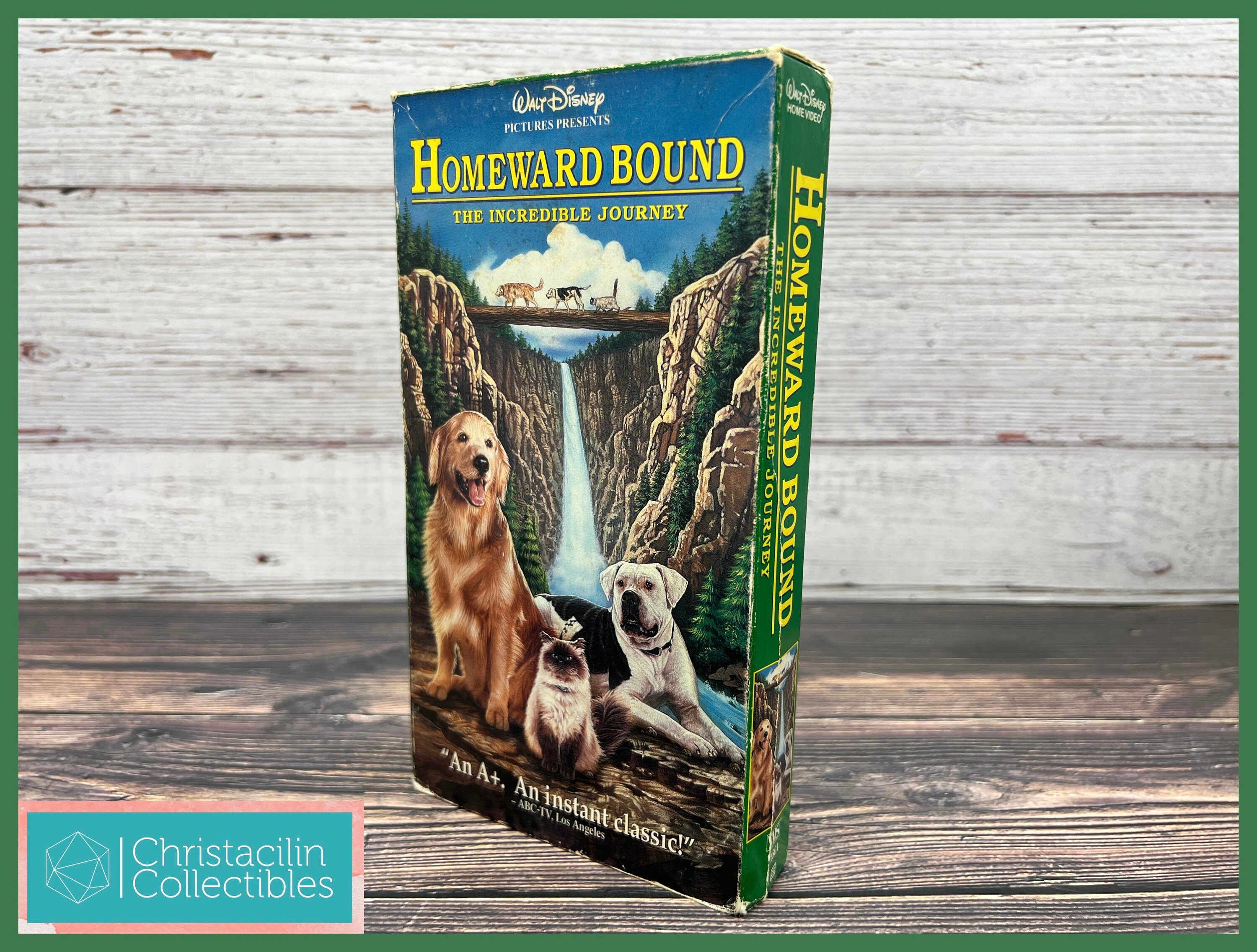 Vintage Movie | 1993 “homeward Bound: the Incredible Journey