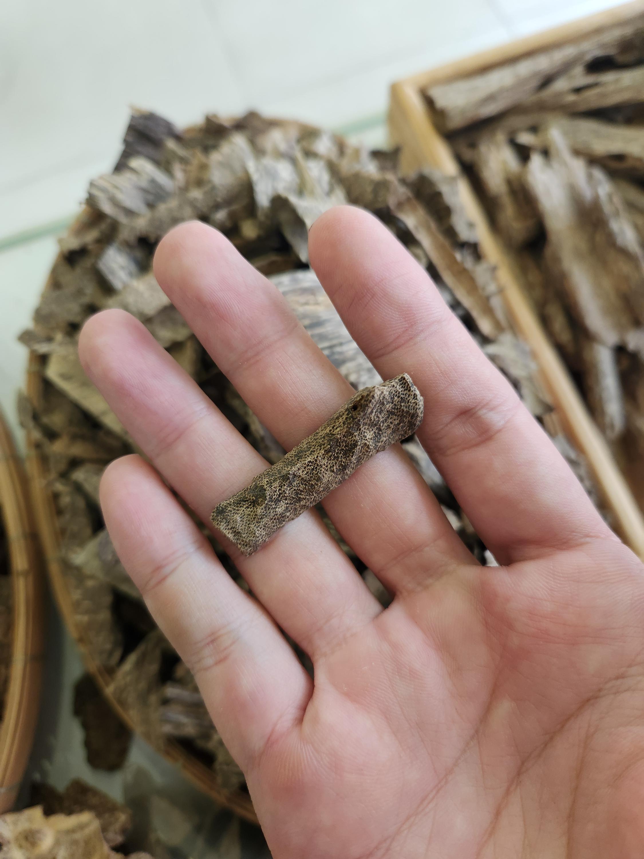 20g ベトナム産沈香 アングルウード スーパーグレード樹脂 強い
