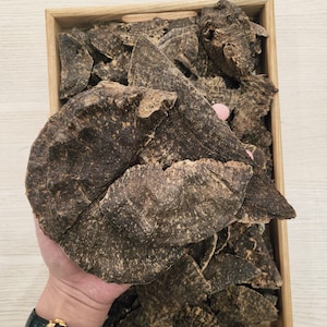 20g Vietnamese Agarwood Stump Incense | 1.0–1.2 mm Resin Slices | Sweet and Warm Woody Oud | Aromatherapy and Home Fragrance | Free Shipping
