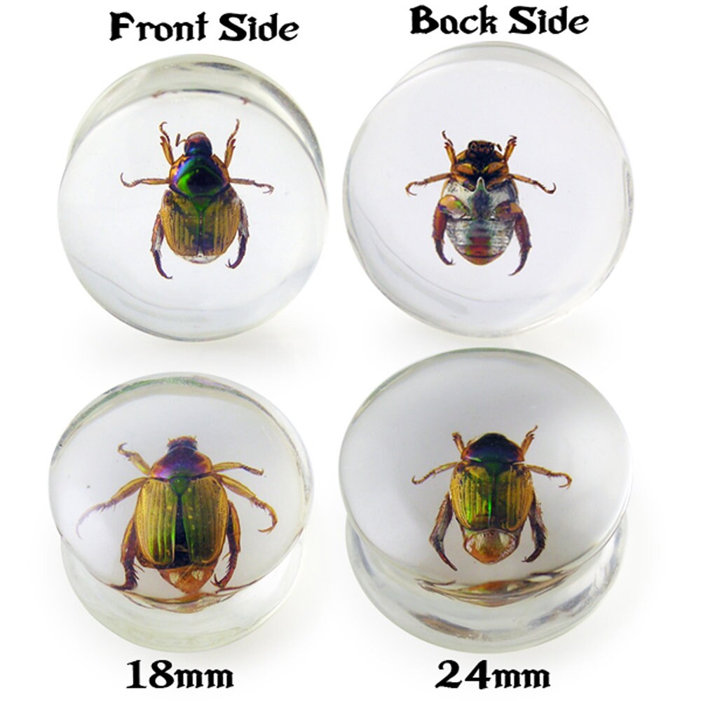 Real Bug Polyresin Gauges Saddle Style Ear Plugs Ear Etsy Canada