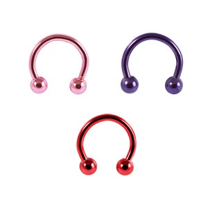 Horseshoe Barbell- Eyebrow Ring/ Septum Ring/ Cartilage Ring- Anodized Surgical Steel Circular Barbell- 16G Barbell