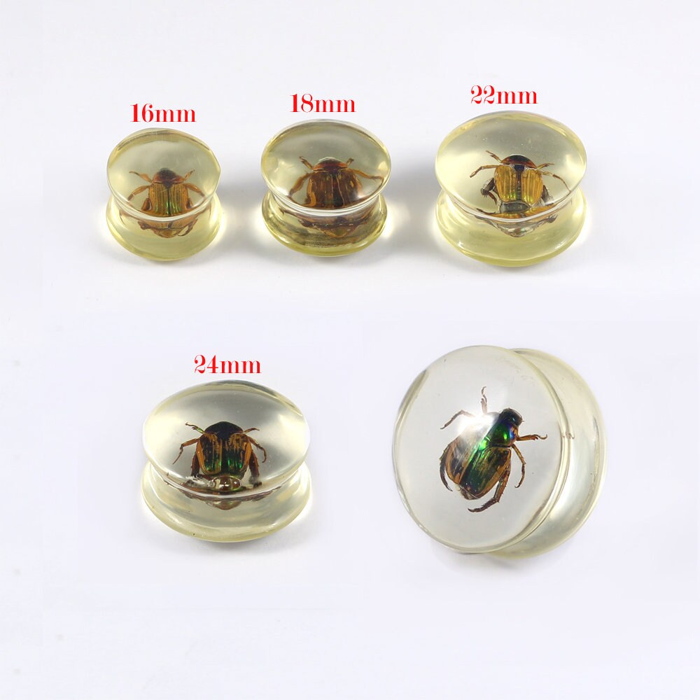 Real Bug Polyresin Gauges Saddle Style Ear Plugs Ear Etsy