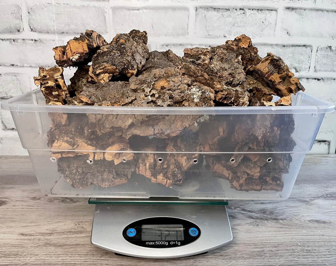2 Pounds Cork Bark for Reptiles, Terrariums, Isopods, Arachnids, Crafts, Plant Mounting, Etc Etsy