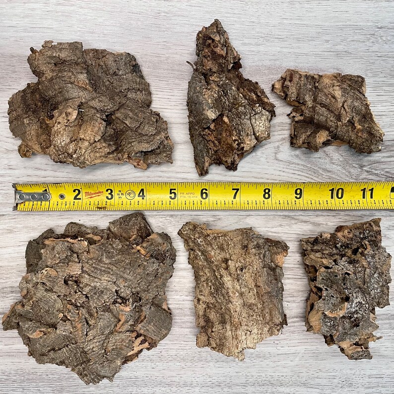 3 Pounds Cork Bark for Reptiles Terrariums Isopods Etsy