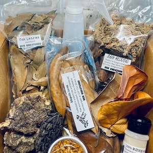 Bioactive / Isopod Starter Kit