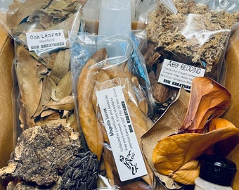 Bioactive / Isopod Starter Kit