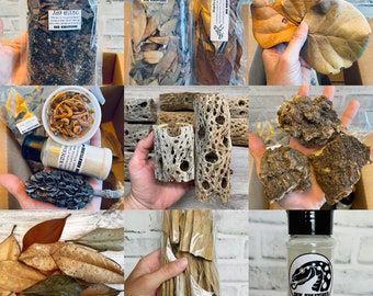 May include: Assortment of natural materials for crafting and terrarium projects. Includes dried leaves, wood, bark, and dried insects.  Also includes a bottle of "Brain Matter" essential oil.