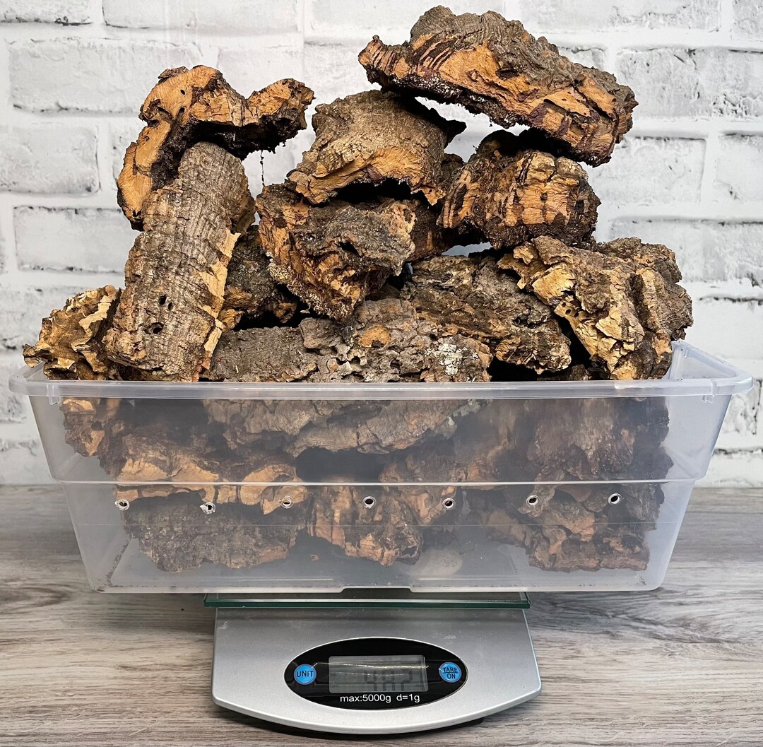 3 Pounds Cork Bark for Reptiles, Terrariums, Isopods, Arachnids, Crafts