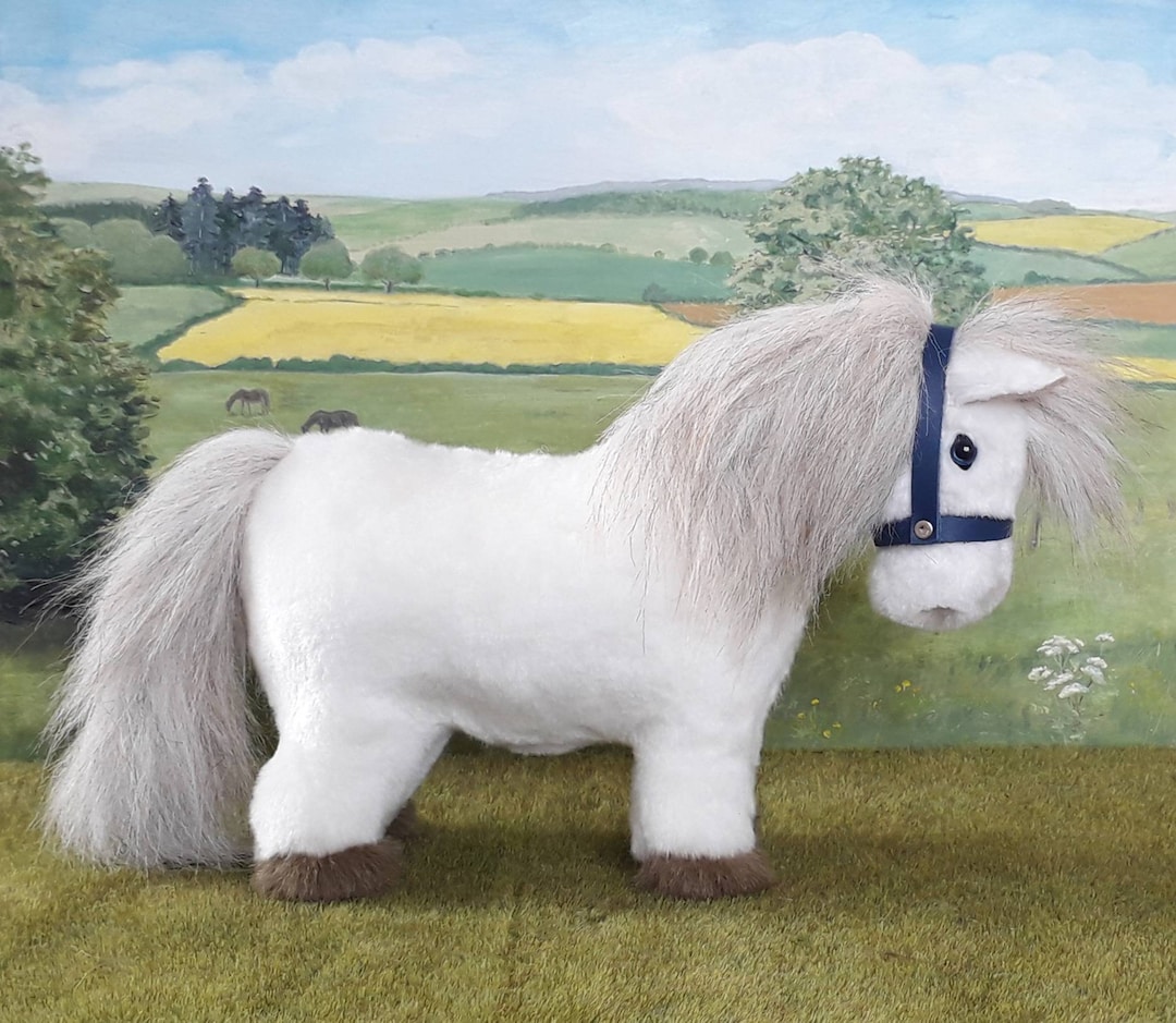 Ontbering vliegtuig Onzuiver Taille Brein weerstand bieden mini pony kopen louter droefheid gokken