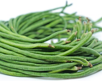 Yard Long Bean 30-150 Seeds- Ships From Canada | Vegetable Seeds. Free shipping