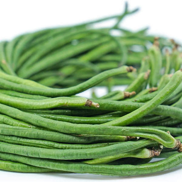 Yard Long Bean 30-150 Seeds- Ships From Canada | Vegetable Seeds. Free shipping