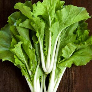 LARGE PACKET 300+ of  Taiwan Bok Choy/ Taiwanese Pac Choi Seeds/Brassica rapa chinensis- Non-GMO Asian Vegetable