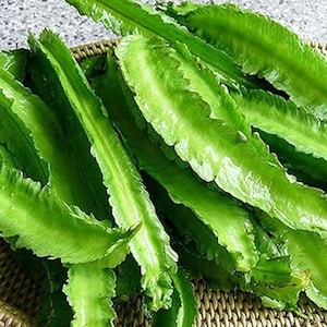 Peut inclure: Un bouquet de haricots ailés verts frais, également appelés haricots d'asperges, dans un panier tissé. Les haricots sont longs et fins avec une forme légèrement incurvée.
