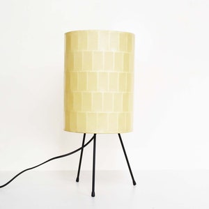 1 of 2 - Unique straight Cocoon Table Lamp - German &#39;Cocoon&#39; Table or Desk Lamp