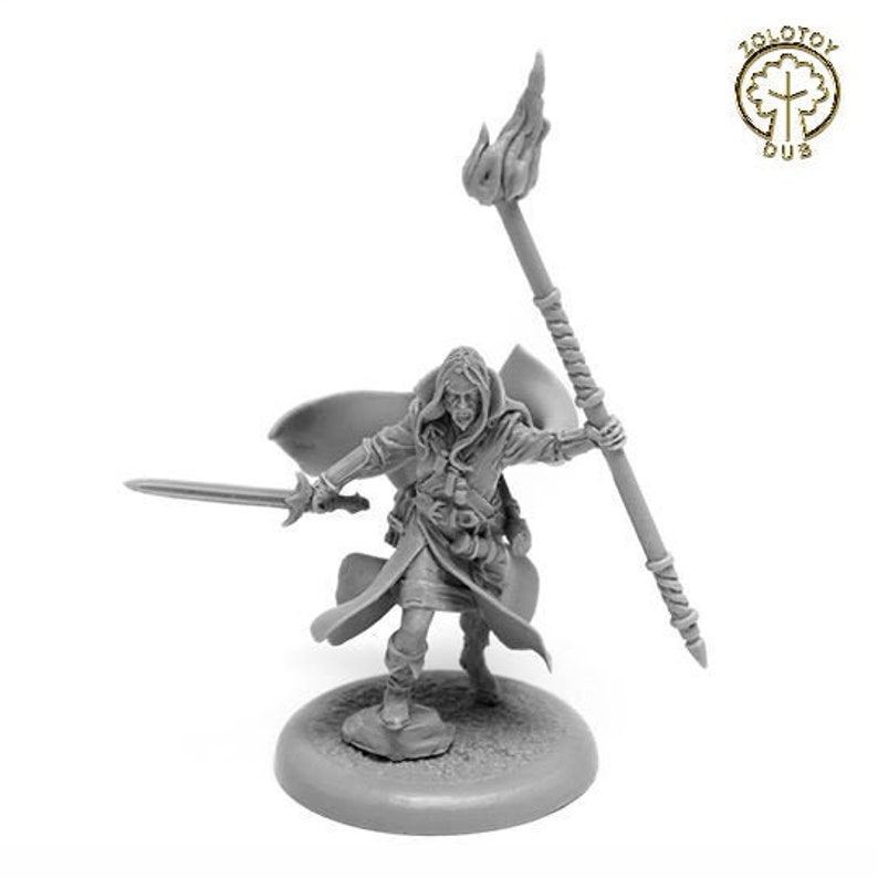 dnd sorcerer miniature